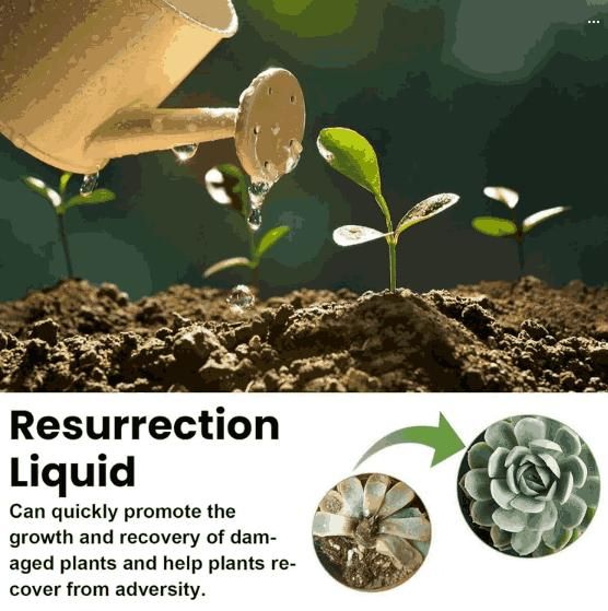 JS Enterprise™ Resurrection Liquid for Plants,Flower 50ML (Pack of 3)