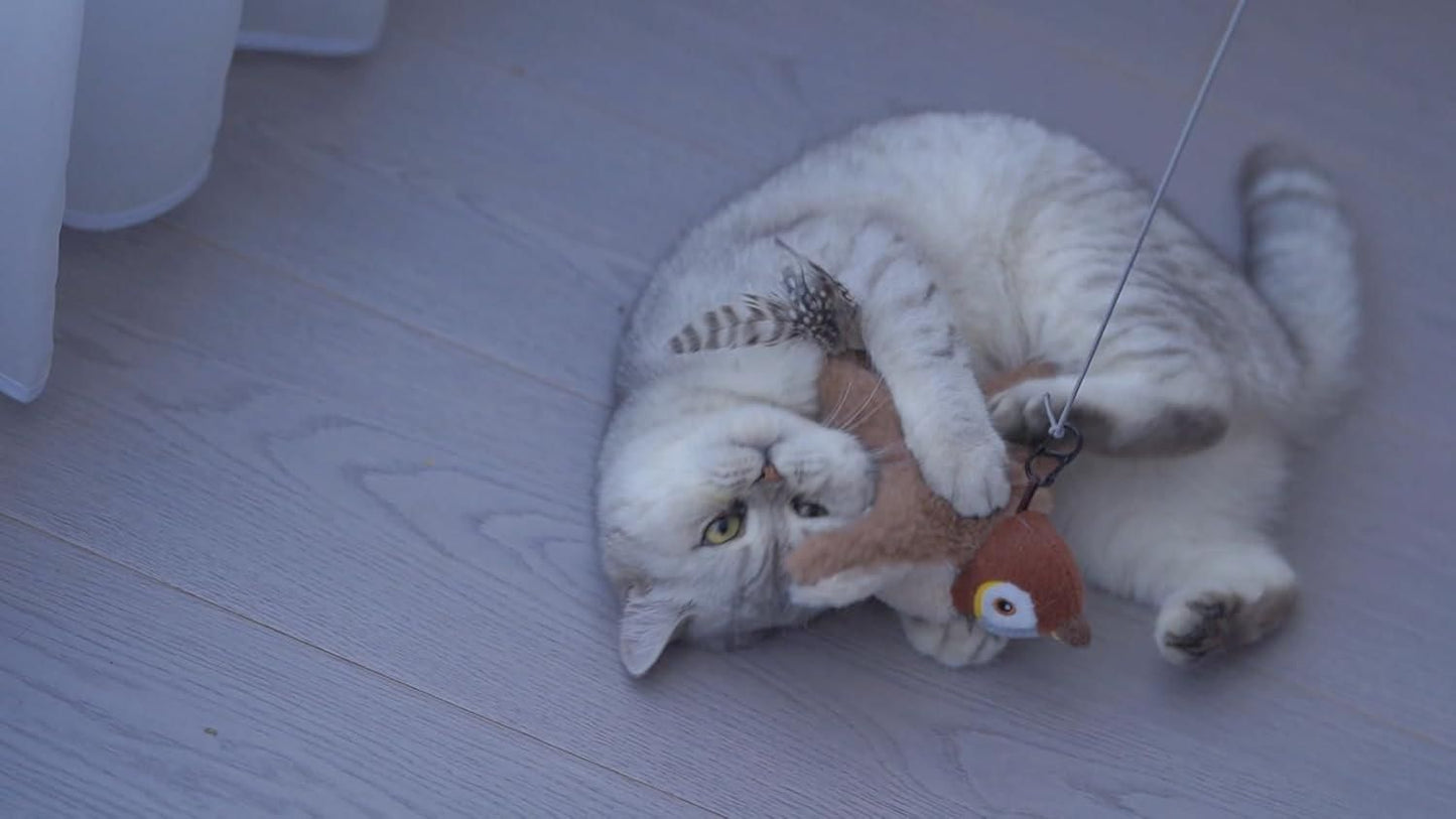 JS Enterprise™ Flapping Cat Toy