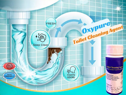 JS Enterprise™ Toilet Cleaning Agent 100 gm (Pack of 2)