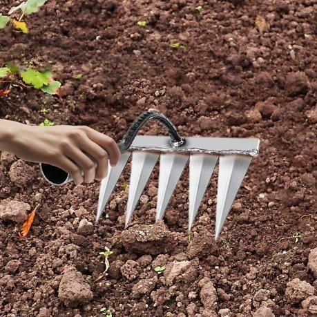 JS Enterprise™ 5 Teeth Carbon Steel Garden Weeding